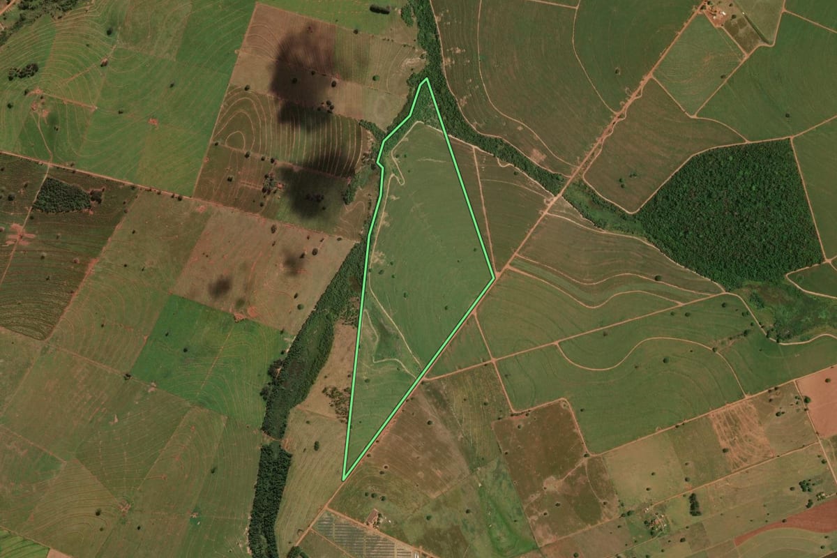 Imagem de satélite do imóvel rural em Porto Rico (PR), com o contorno declarado no CAR desenhado por cima.