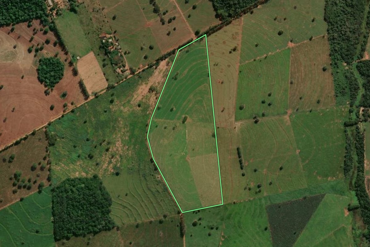Imagem de satélite do imóvel rural em Porto Rico (PR), com o contorno declarado no CAR desenhado por cima.