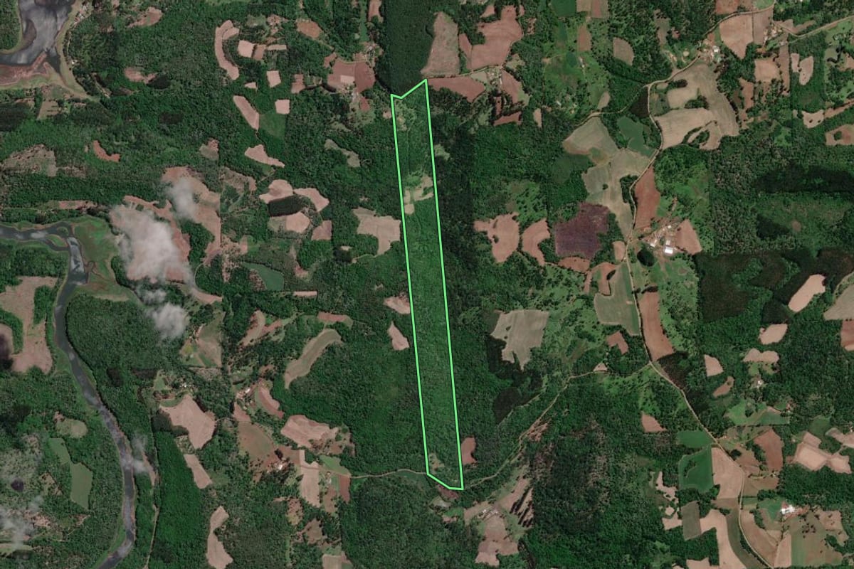 Imagem de satélite do imóvel rural em Porto Vitória (PR), com o contorno declarado no CAR desenhado por cima.
