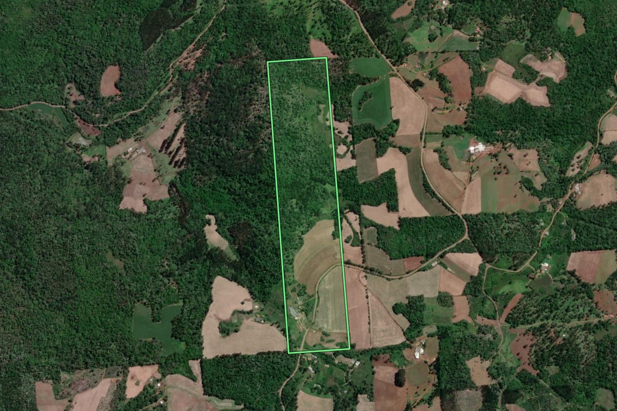 Imagem de satélite do imóvel rural em Porto Vitória (PR), com o contorno declarado no CAR desenhado por cima.