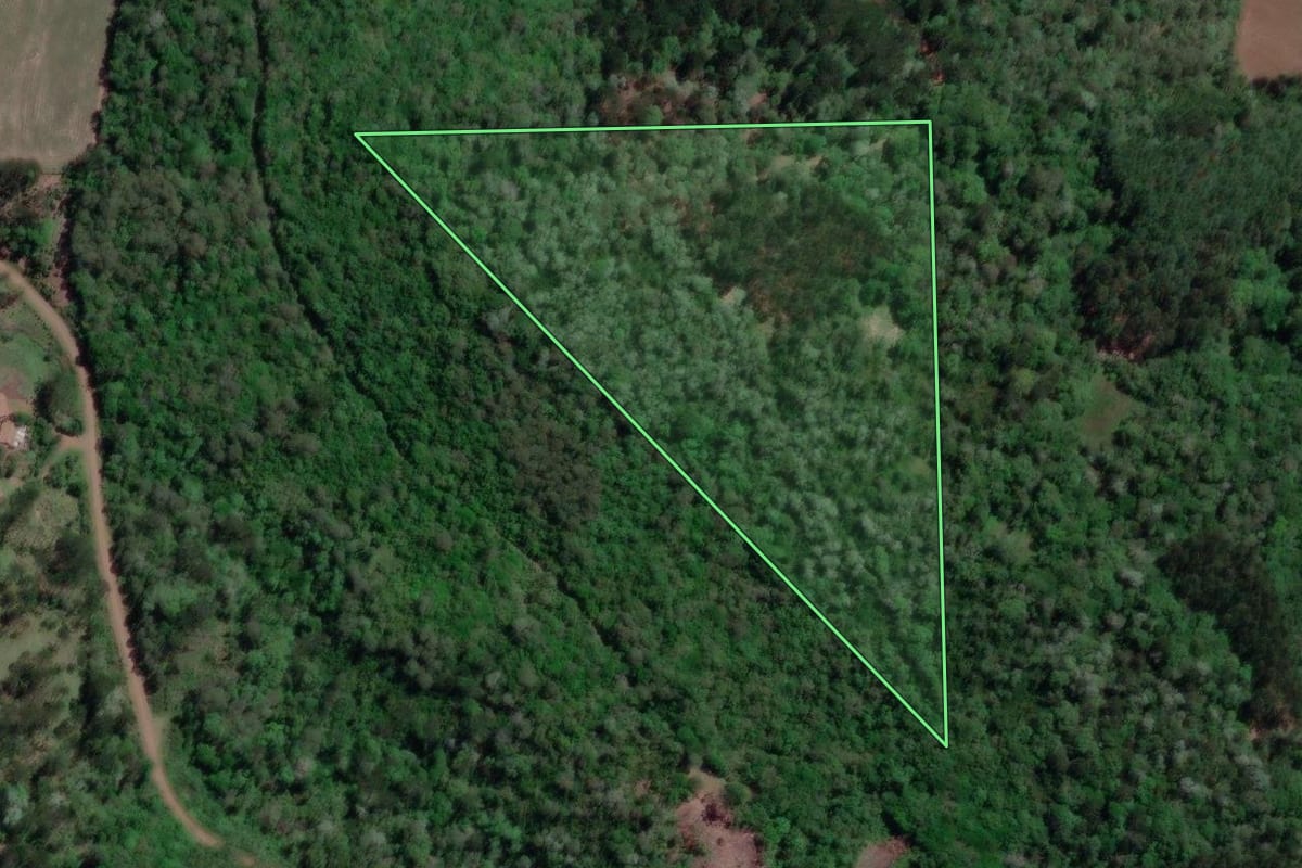 Imagem de satélite do imóvel rural em Porto Vitória (PR), com o contorno declarado no CAR desenhado por cima.