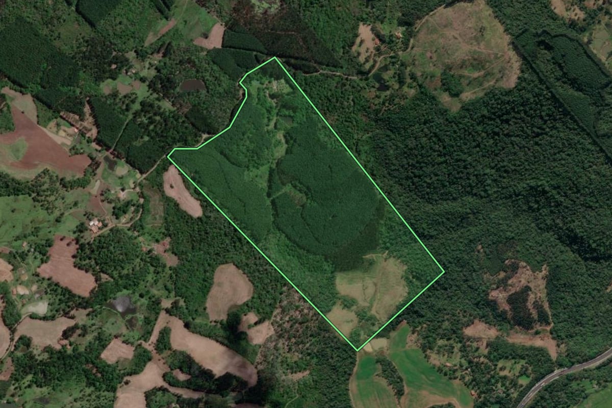 Imagem de satélite do imóvel rural em Porto Vitória (PR), com o contorno declarado no CAR desenhado por cima.