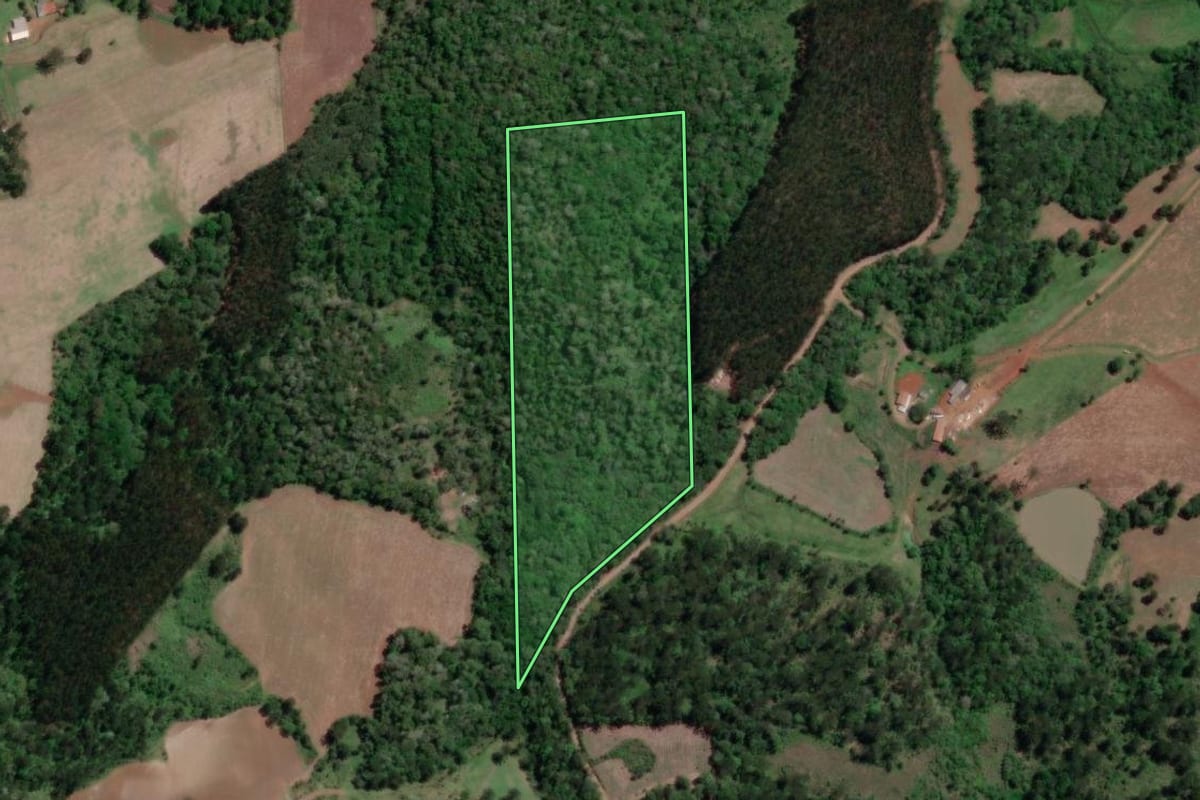 Imagem de satélite do imóvel rural em Porto Vitória (PR), com o contorno declarado no CAR desenhado por cima.