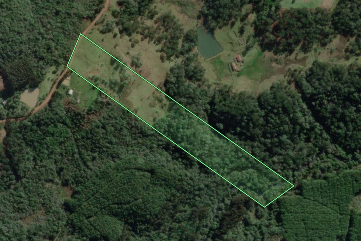 Imagem de satélite do imóvel rural em Porto Vitória (PR), com o contorno declarado no CAR desenhado por cima.