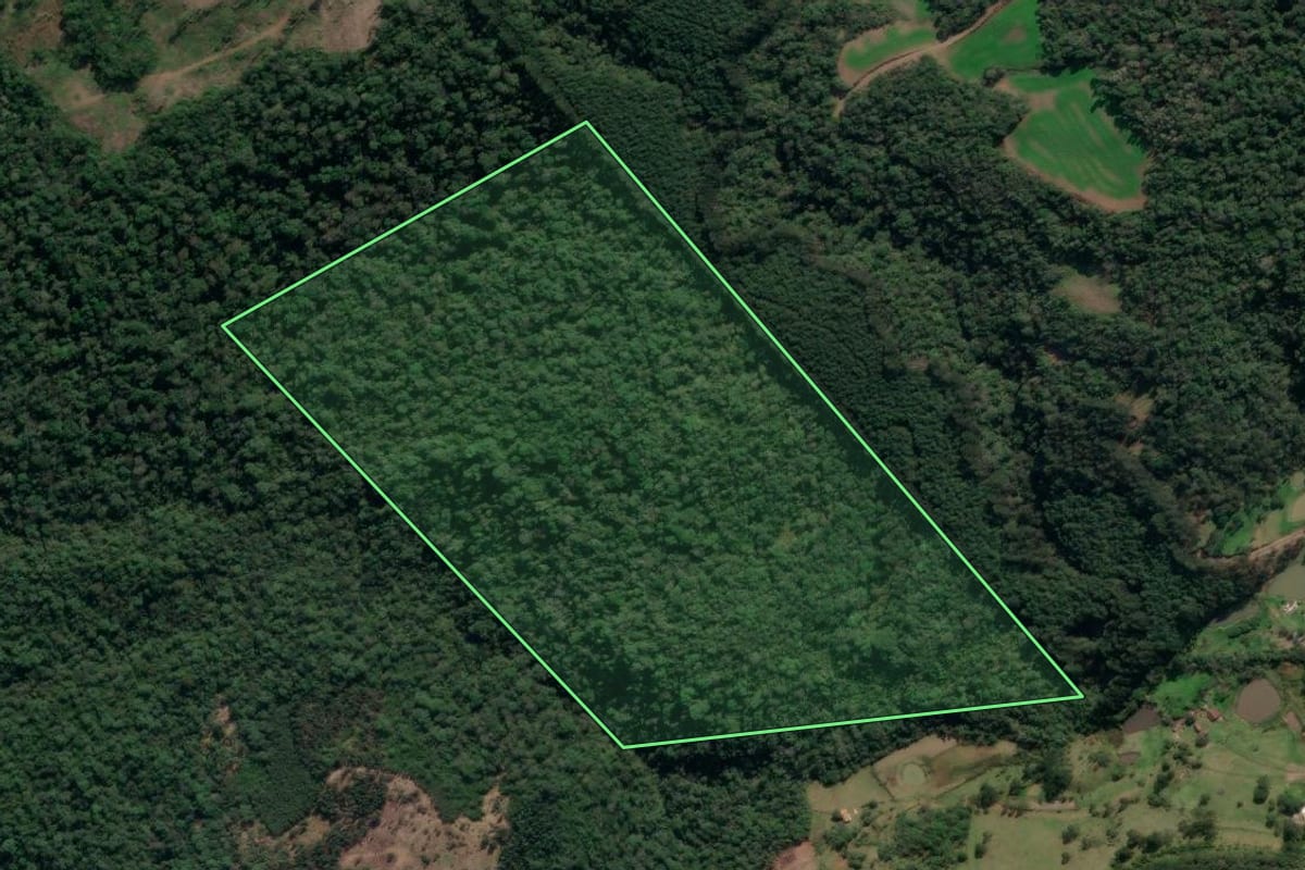 Imagem de satélite do imóvel rural em Porto Vitória (PR), com o contorno declarado no CAR desenhado por cima.