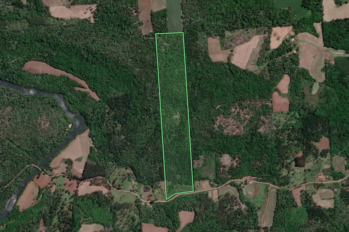 Imagem de satélite do imóvel rural em Porto Vitória (PR), com o contorno declarado no CAR desenhado por cima.