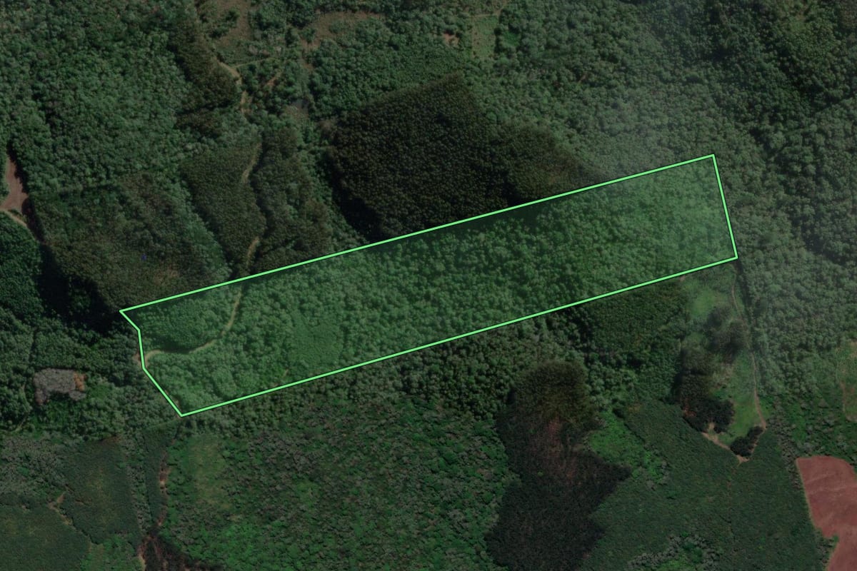 Imagem de satélite do imóvel rural em Porto Vitória (PR), com o contorno declarado no CAR desenhado por cima.