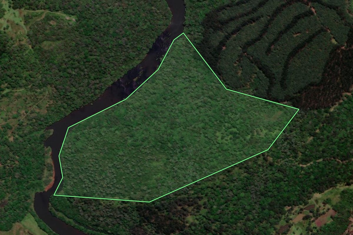 Imagem de satélite do imóvel rural em Porto Vitória (PR), com o contorno declarado no CAR desenhado por cima.