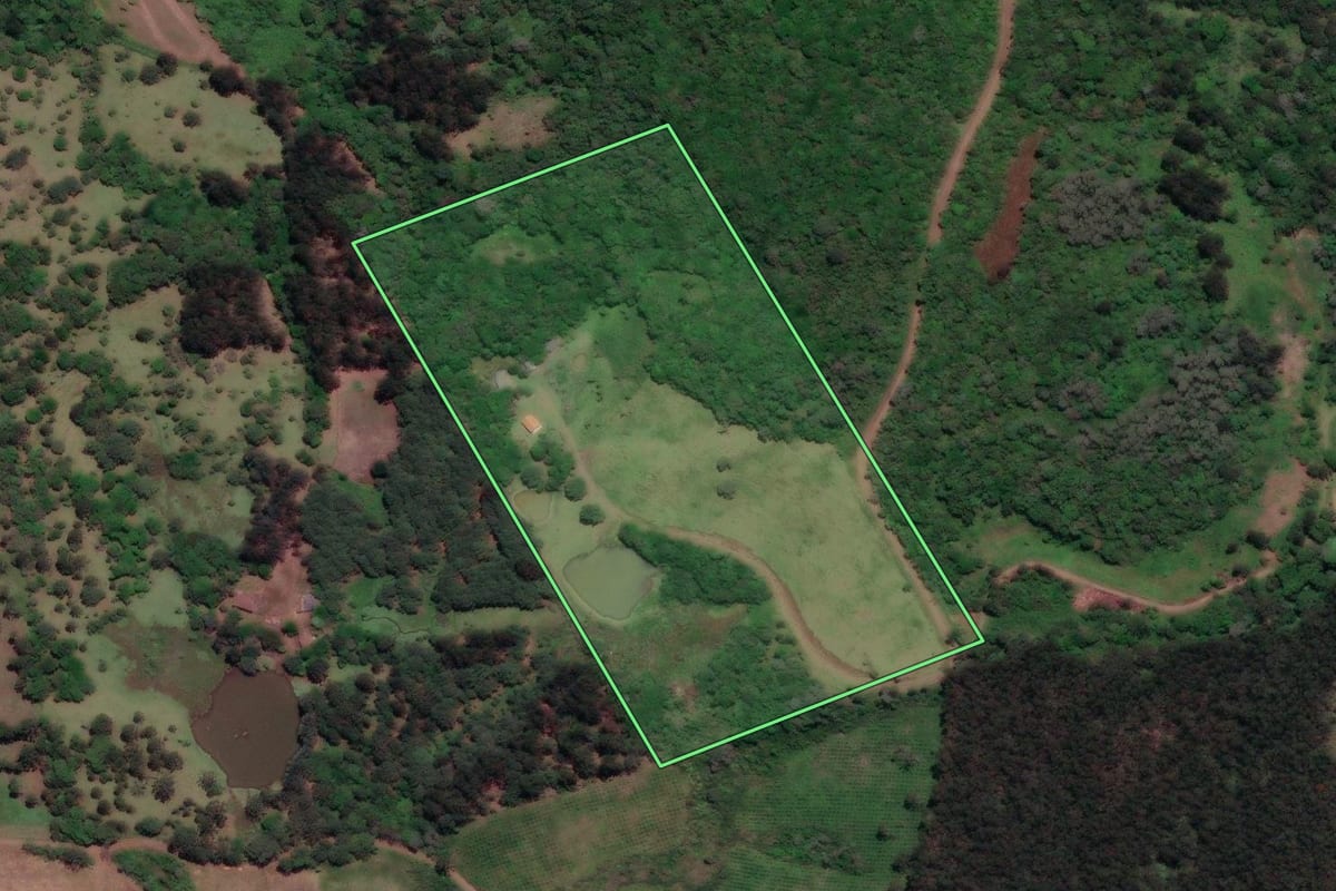 Imagem de satélite do imóvel rural em Porto Vitória (PR), com o contorno declarado no CAR desenhado por cima.