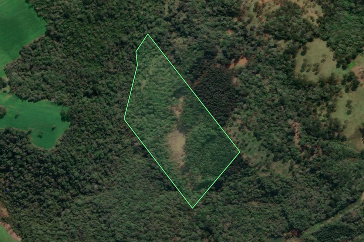 Imagem de satélite do imóvel rural em Porto Vitória (PR), com o contorno declarado no CAR desenhado por cima.