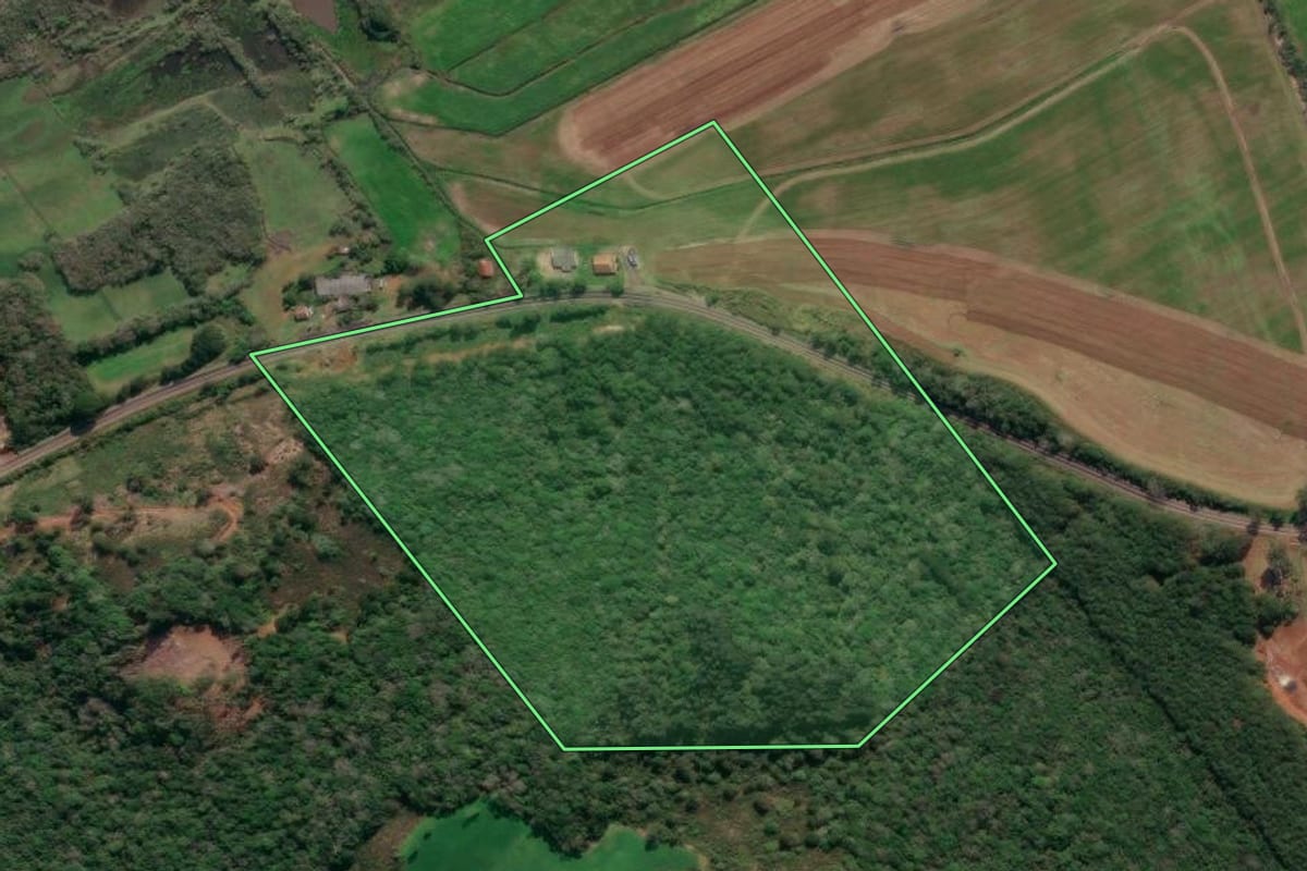 Imagem de satélite do imóvel rural em Porto Vitória (PR), com o contorno declarado no CAR desenhado por cima.