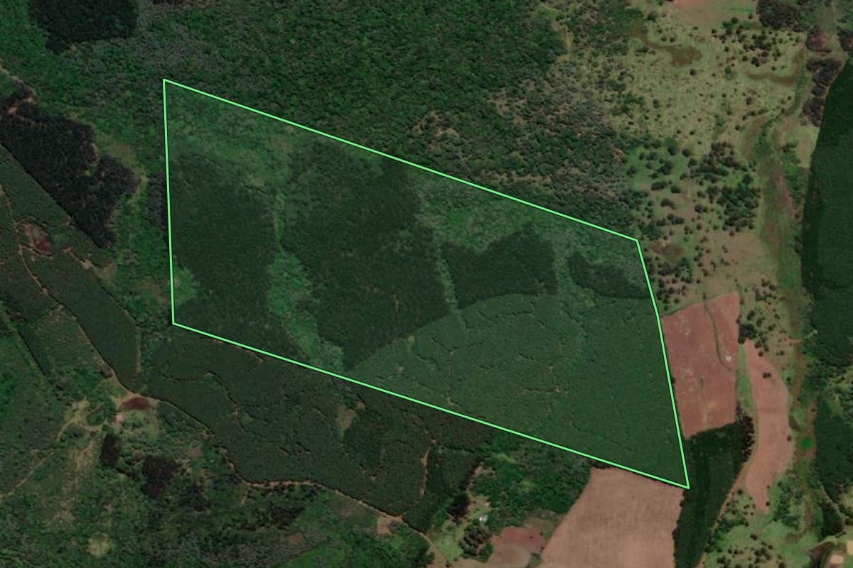Imagem de satélite do imóvel rural em Porto Vitória (PR), com o contorno declarado no CAR desenhado por cima.