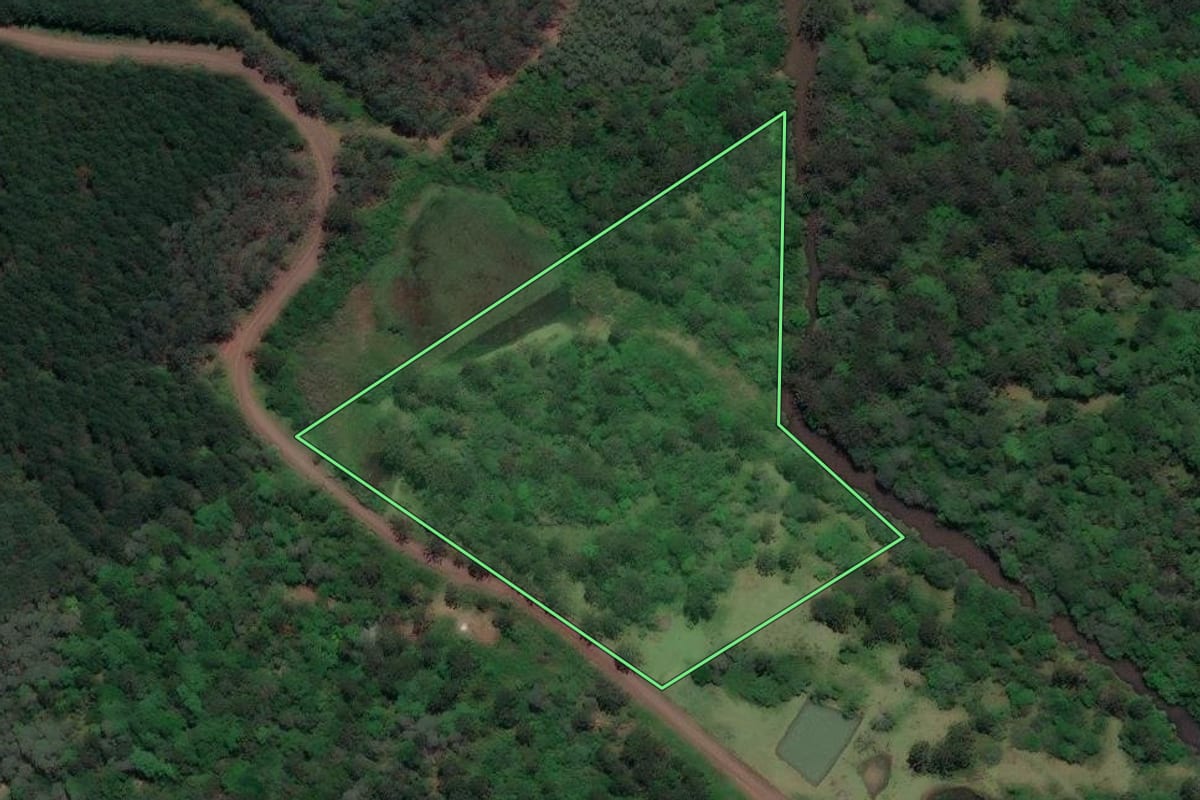 Imagem de satélite do imóvel rural em Porto Vitória (PR), com o contorno declarado no CAR desenhado por cima.