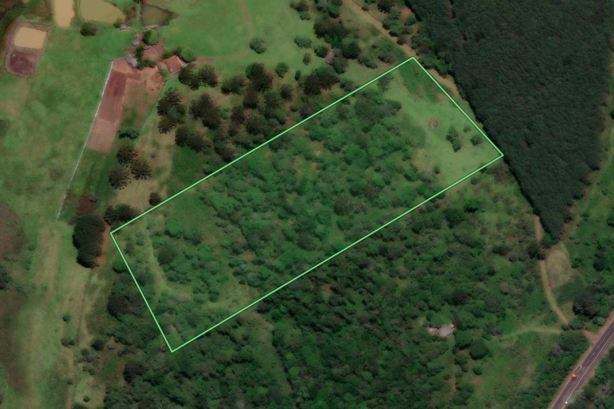 Imagem de satélite do imóvel rural em Porto Vitória (PR), com o contorno declarado no CAR desenhado por cima.