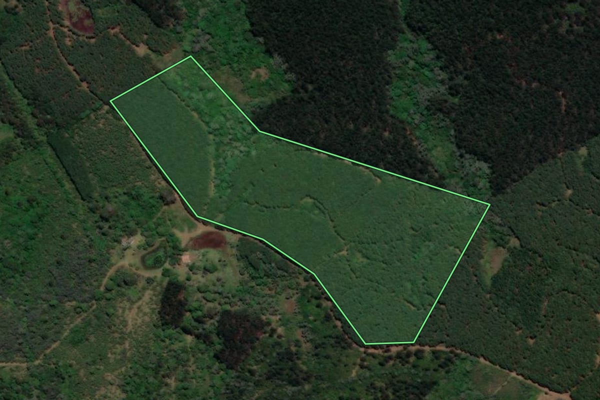 Imagem de satélite do imóvel rural em Porto Vitória (PR), com o contorno declarado no CAR desenhado por cima.