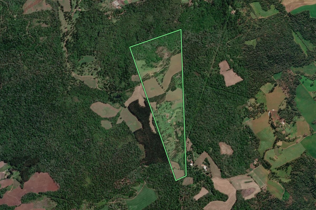 Imagem de satélite do imóvel rural em Porto Vitória (PR), com o contorno declarado no CAR desenhado por cima.