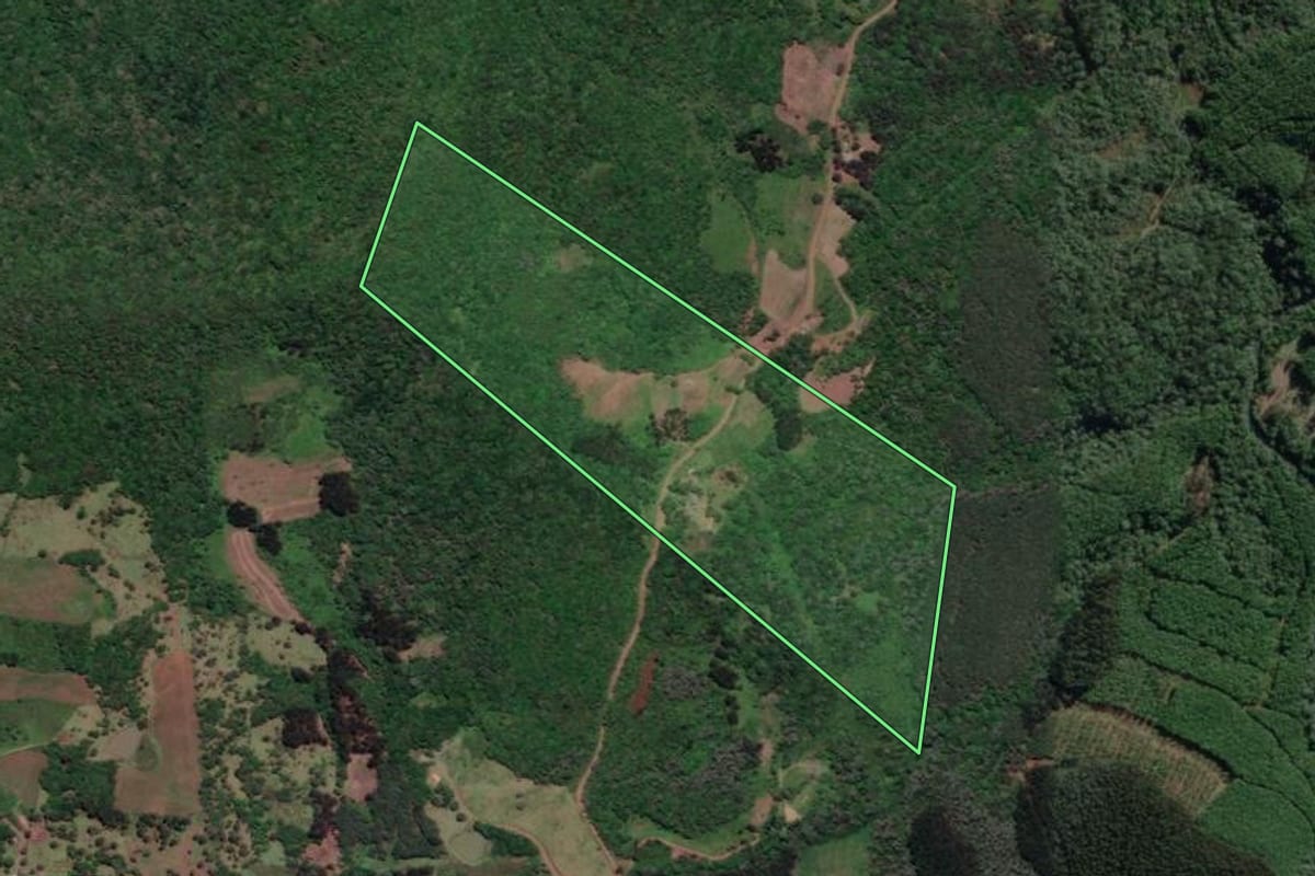 Imagem de satélite do imóvel rural em Porto Vitória (PR), com o contorno declarado no CAR desenhado por cima.