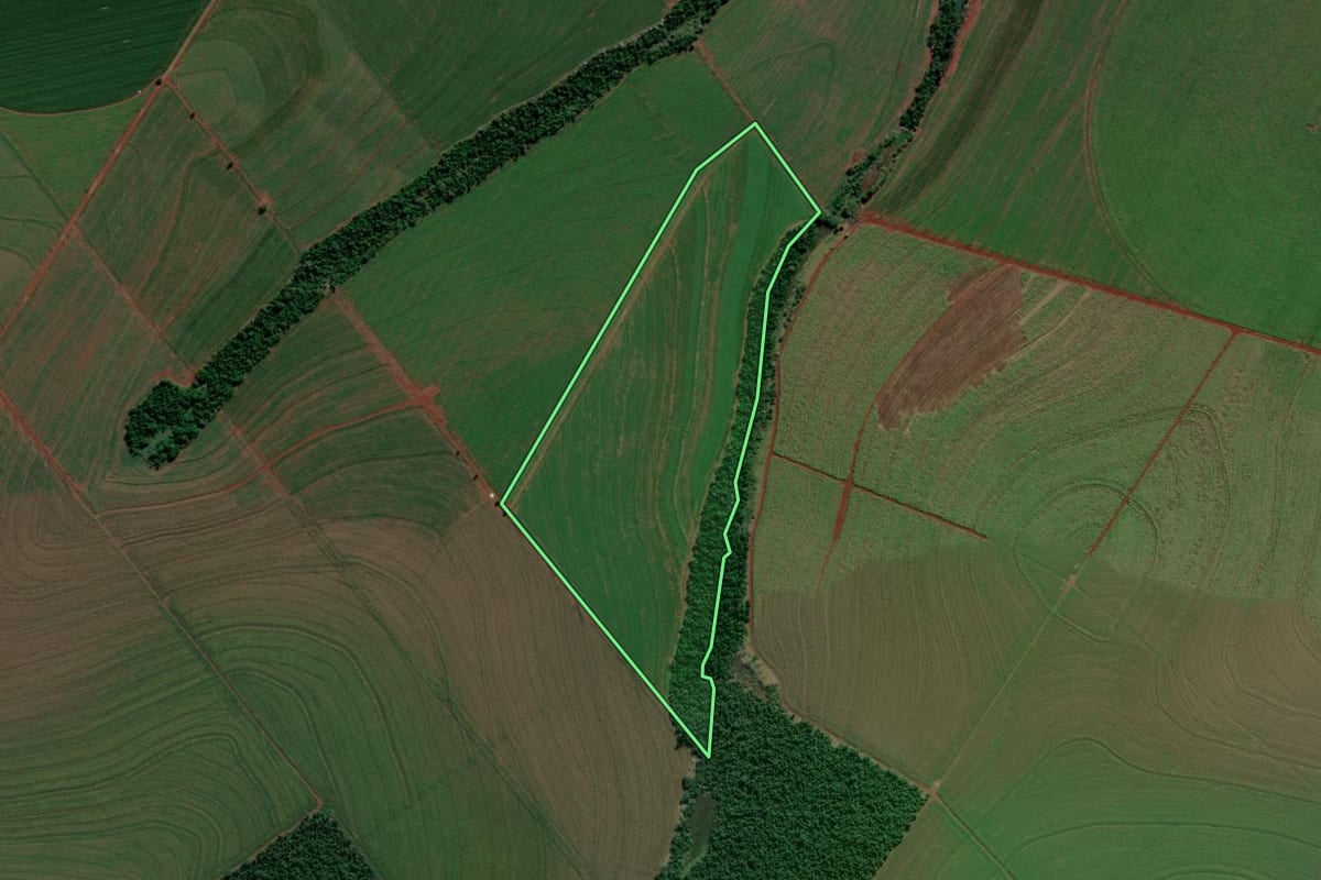 Imagem de satélite do imóvel rural em Prado Ferreira (PR), com o contorno declarado no CAR desenhado por cima.