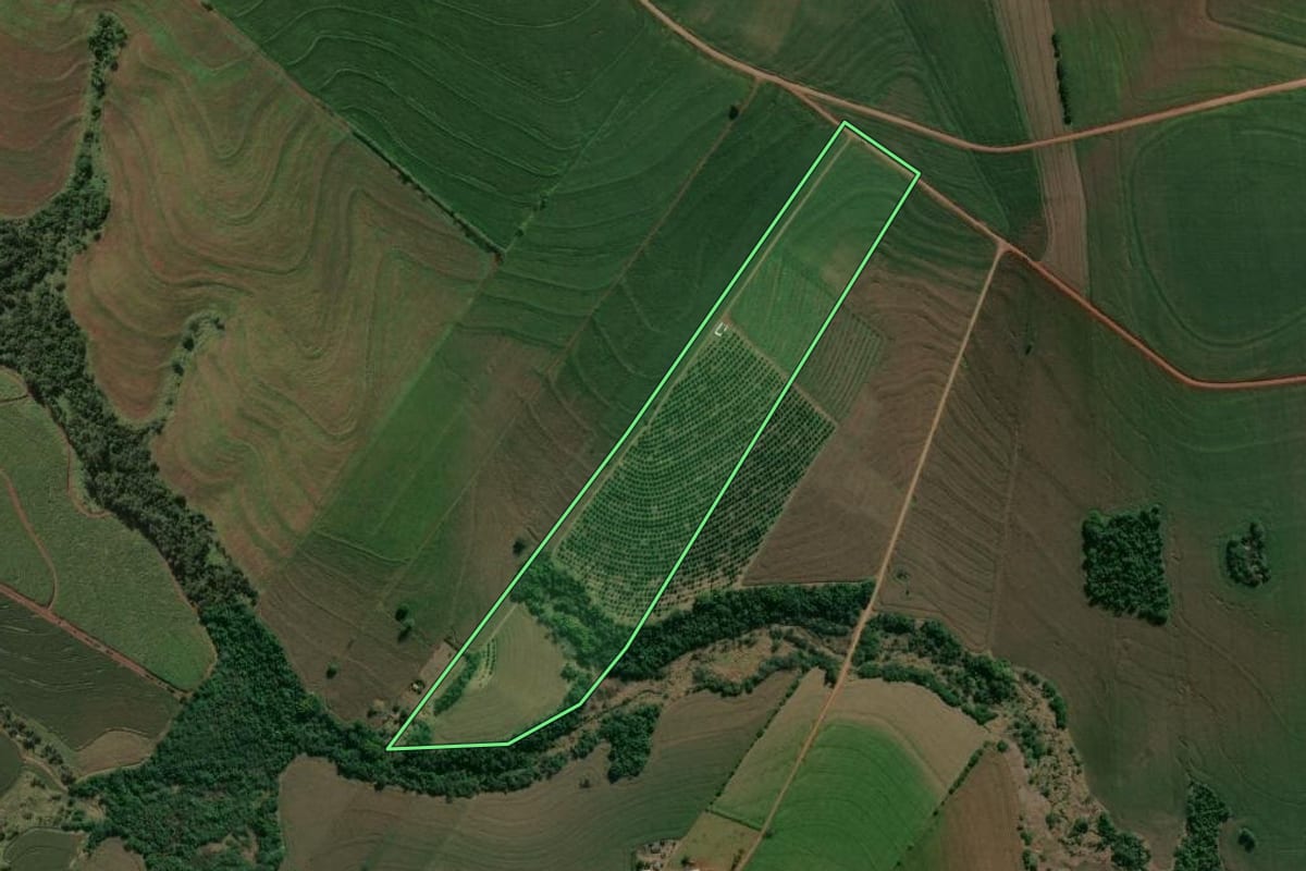 Imagem de satélite do imóvel rural em Prado Ferreira (PR), com o contorno declarado no CAR desenhado por cima.