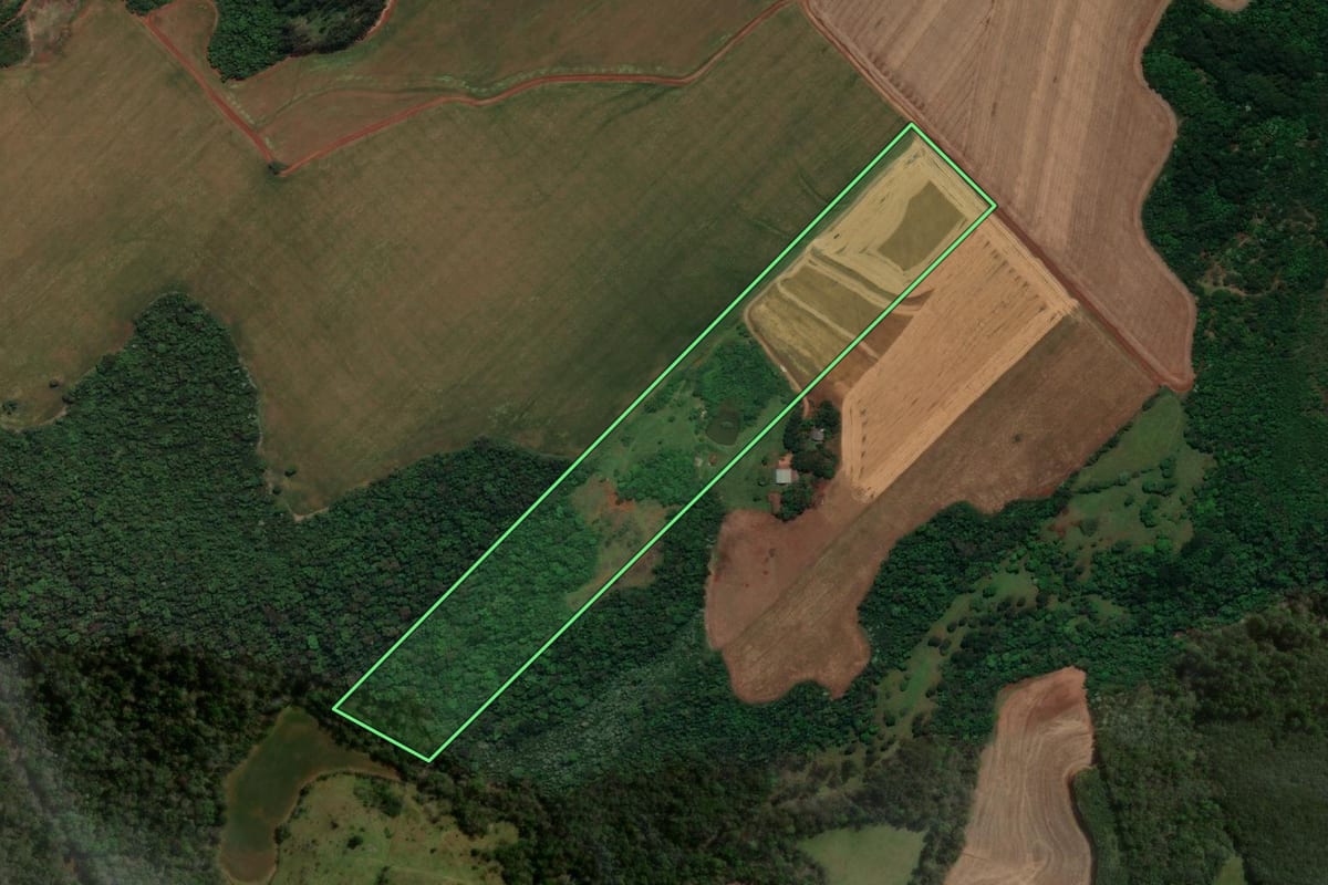 Imagem de satélite do imóvel rural em Pranchita (PR), com o contorno declarado no CAR desenhado por cima.