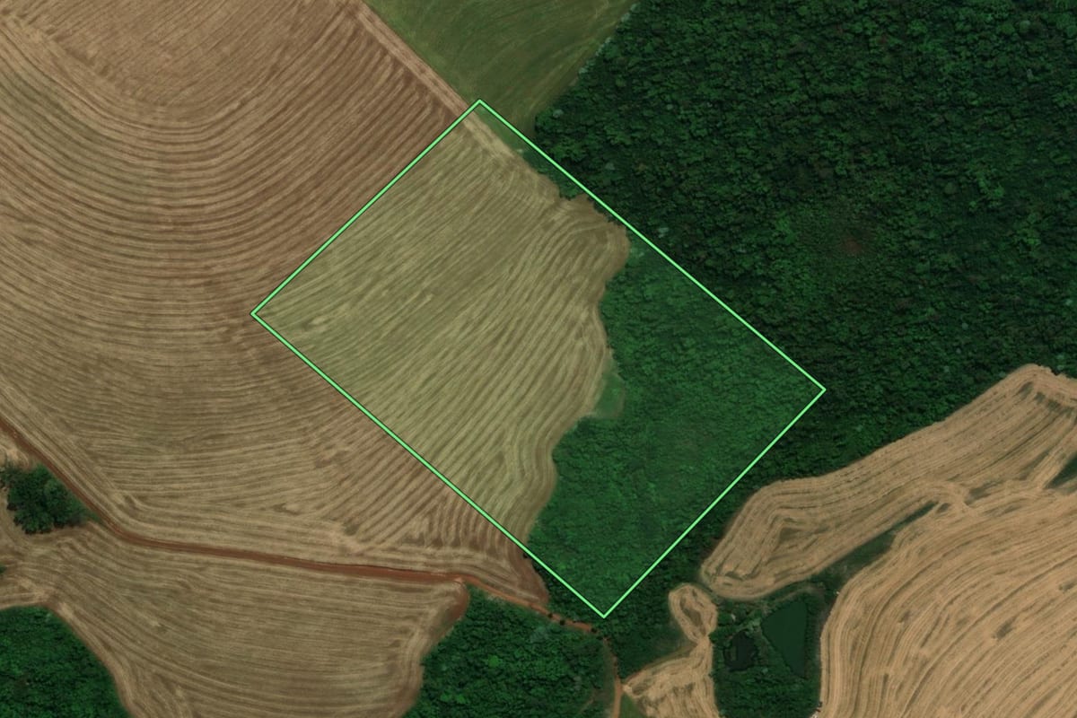 Imagem de satélite do imóvel rural em Pranchita (PR), com o contorno declarado no CAR desenhado por cima.