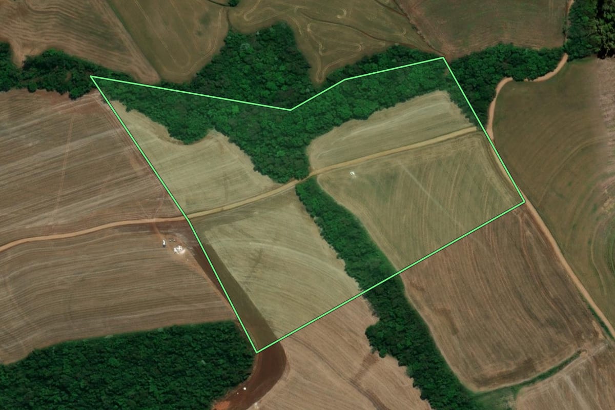 Imagem de satélite do imóvel rural em Bela Vista da Caroba (PR), com o contorno declarado no CAR desenhado por cima.