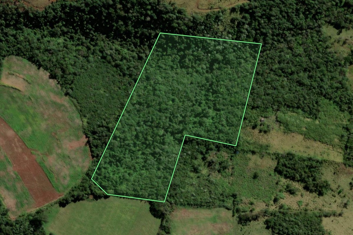 Imagem de satélite do imóvel rural em Pranchita (PR), com o contorno declarado no CAR desenhado por cima.
