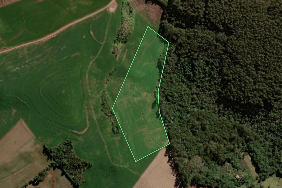 Imagem de satélite do imóvel rural em Pranchita (PR), com o contorno declarado no CAR desenhado por cima.
