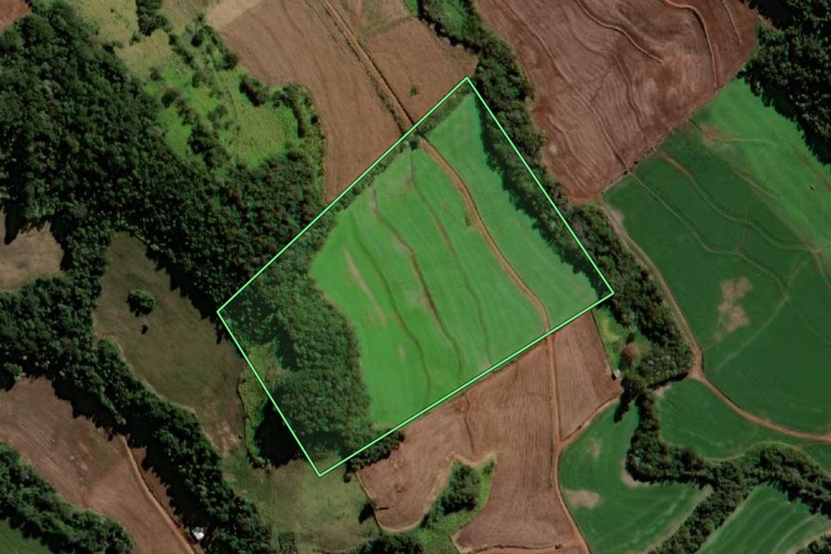 Imagem de satélite do imóvel rural em Pranchita (PR), com o contorno declarado no CAR desenhado por cima.