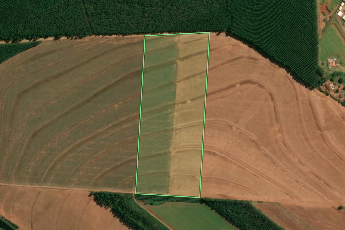 Imagem de satélite do imóvel rural em Presidente Castelo Branco (PR), com o contorno declarado no CAR desenhado por cima.