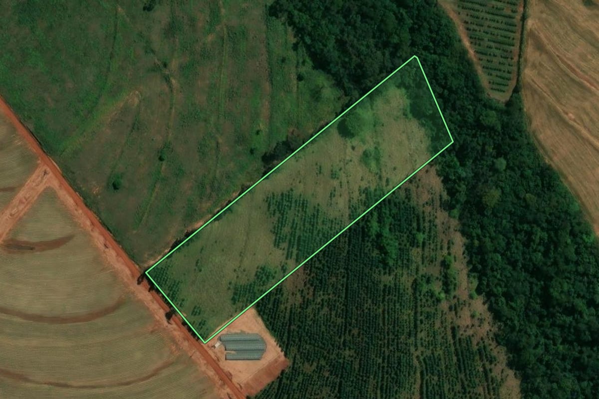 Imagem de satélite do imóvel rural em Presidente Castelo Branco (PR), com o contorno declarado no CAR desenhado por cima.