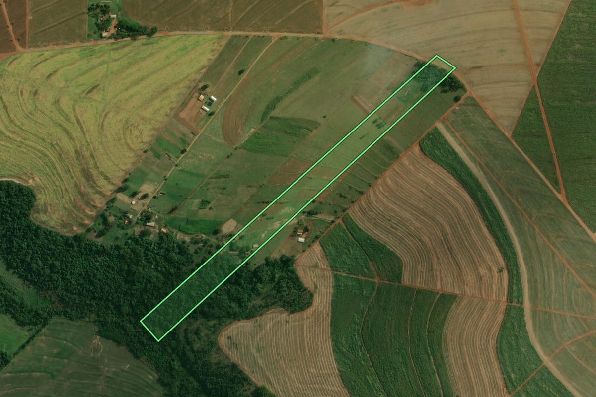 Imagem de satélite do imóvel rural em Presidente Castelo Branco (PR), com o contorno declarado no CAR desenhado por cima.