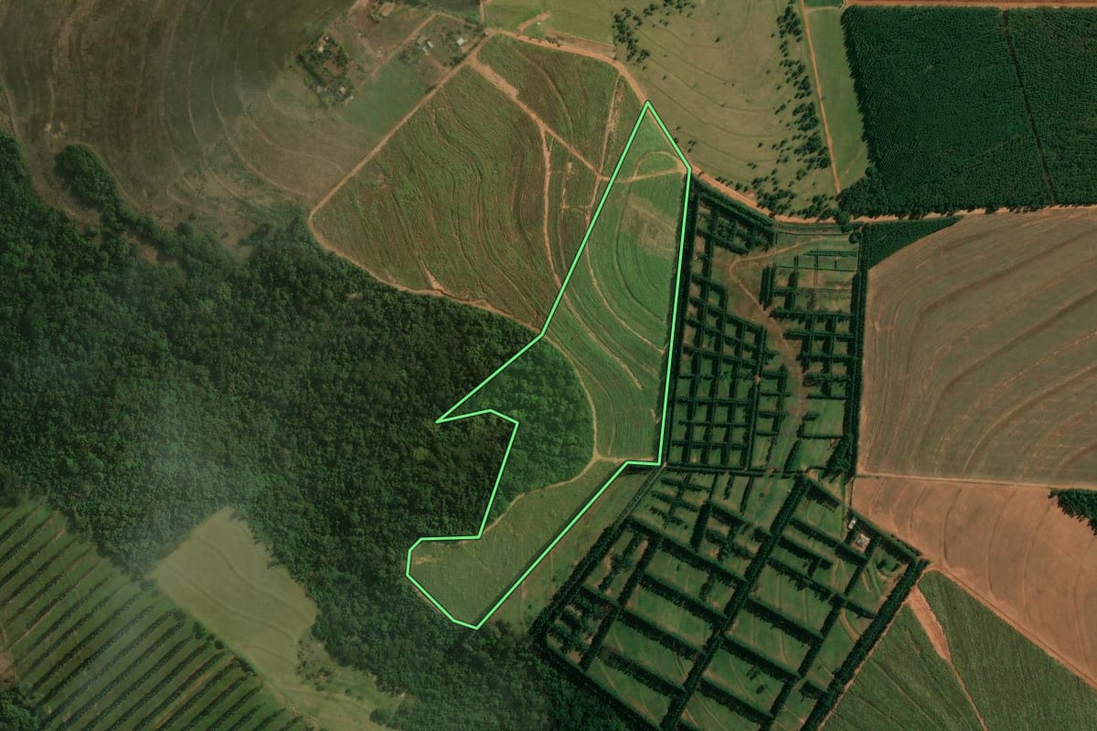 Imagem de satélite do imóvel rural em Presidente Castelo Branco (PR), com o contorno declarado no CAR desenhado por cima.