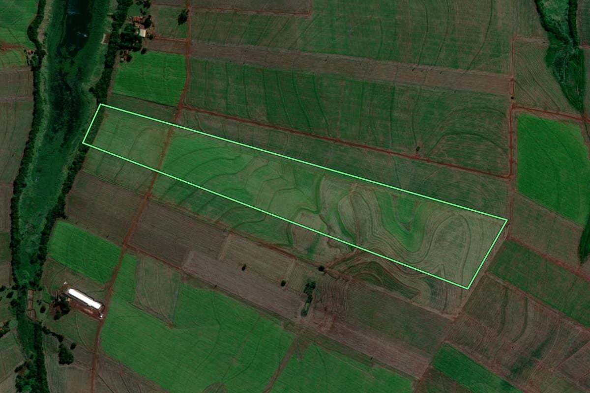 Imagem de satélite do imóvel rural em Primeiro de Maio (PR), com o contorno declarado no CAR desenhado por cima.