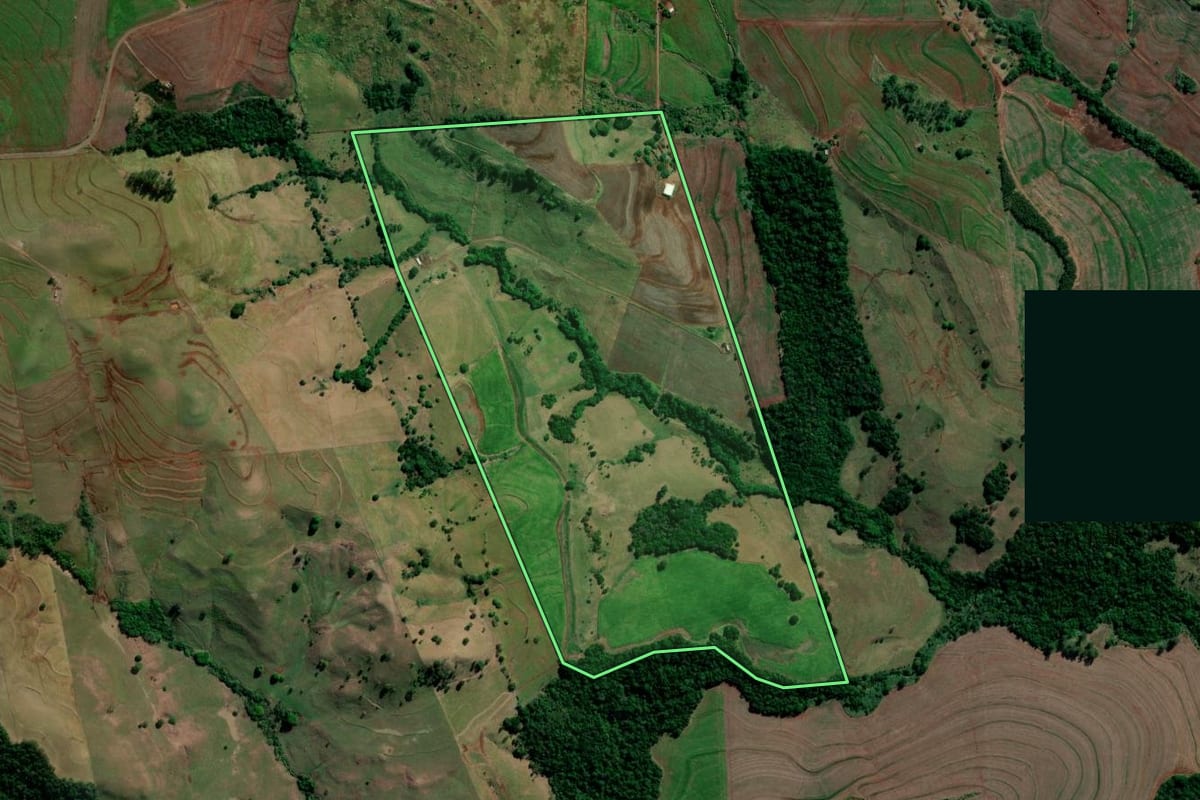 Imagem de satélite do imóvel rural em Primeiro de Maio (PR), com o contorno declarado no CAR desenhado por cima.