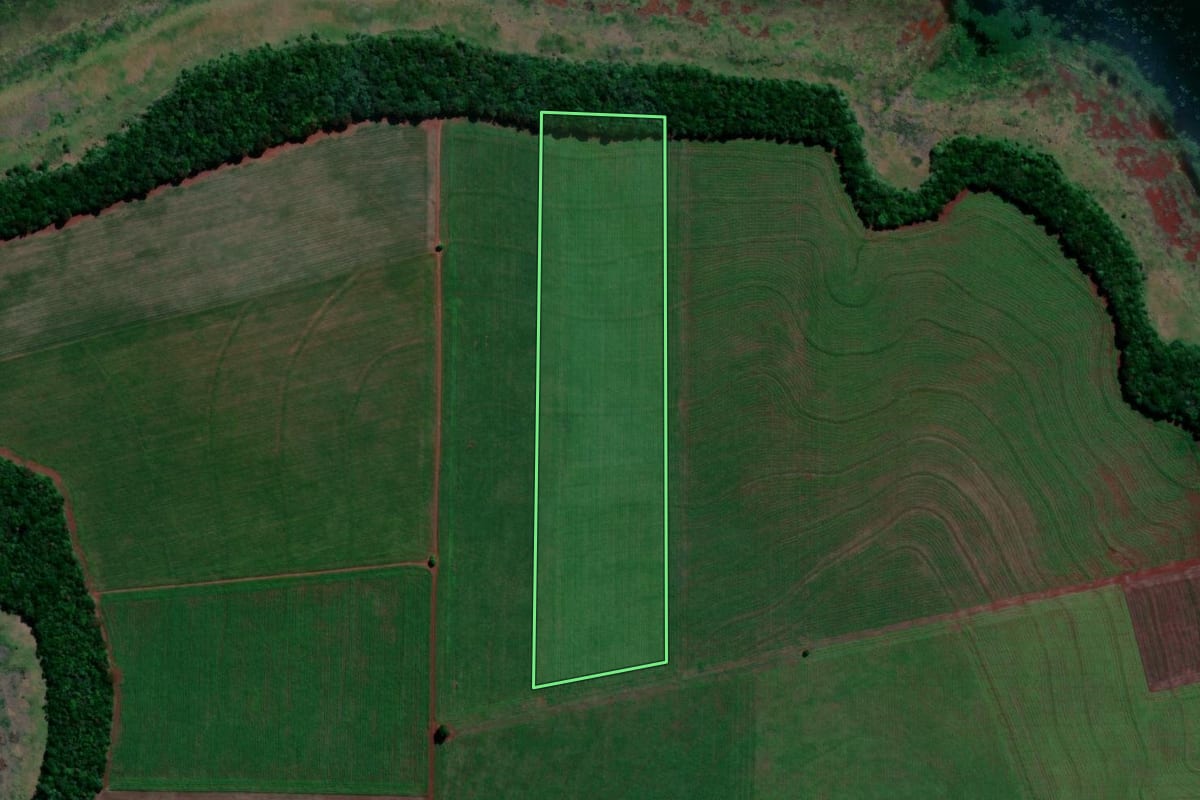 Imagem de satélite do imóvel rural em Primeiro de Maio (PR), com o contorno declarado no CAR desenhado por cima.