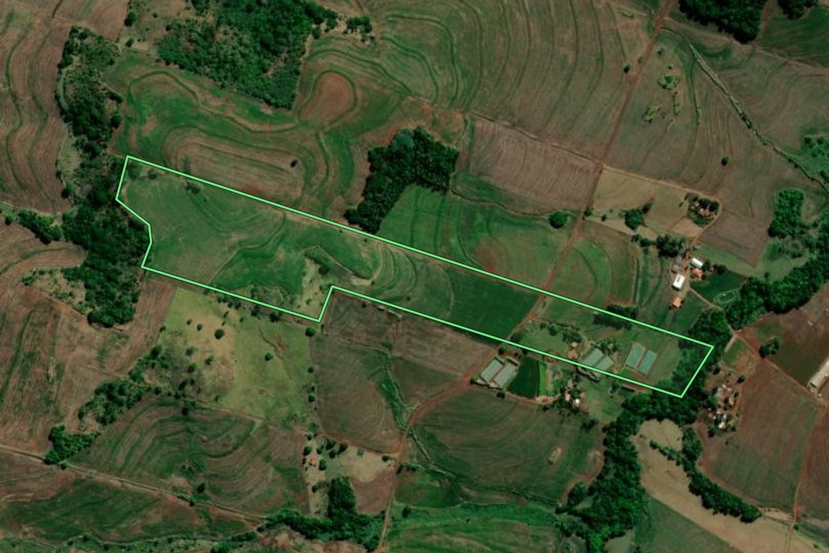 Imagem de satélite do imóvel rural em Primeiro de Maio (PR), com o contorno declarado no CAR desenhado por cima.