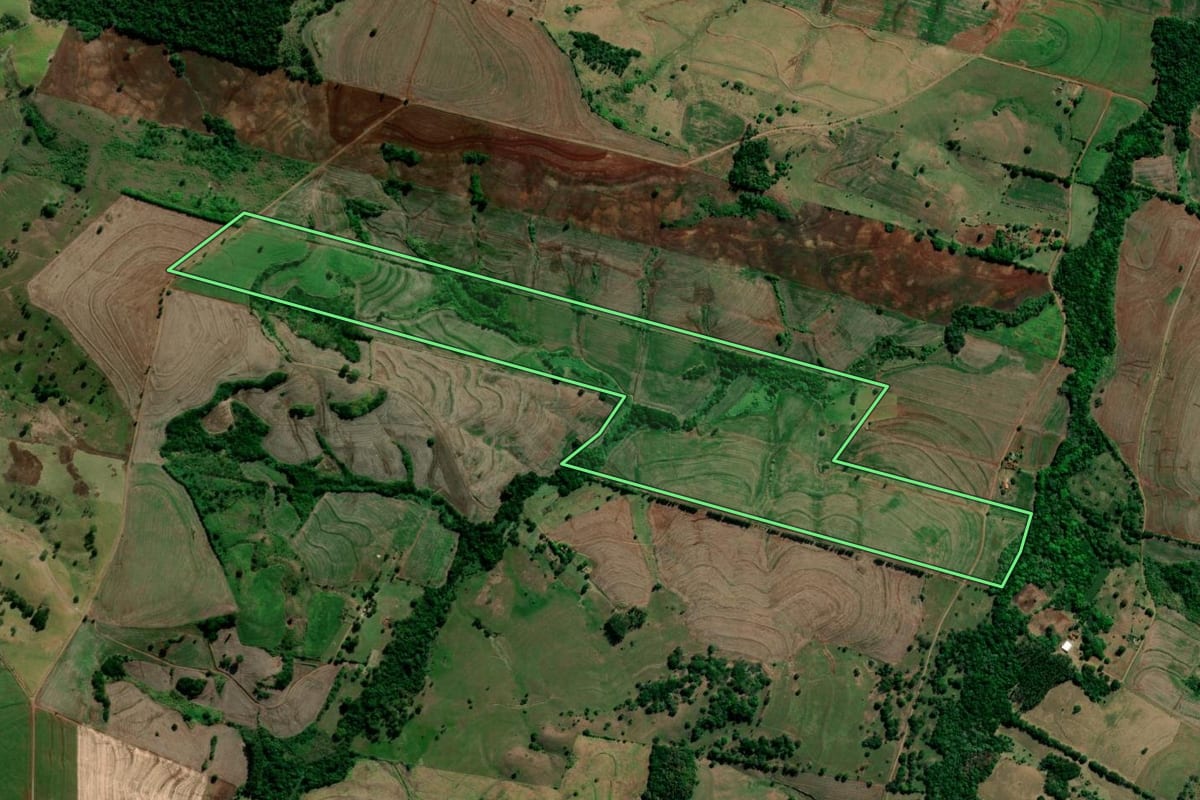Imagem de satélite do imóvel rural em Primeiro de Maio (PR), com o contorno declarado no CAR desenhado por cima.
