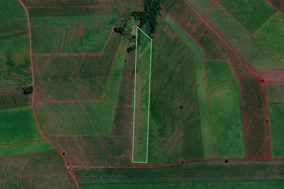 Imagem de satélite do imóvel rural em Primeiro de Maio (PR), com o contorno declarado no CAR desenhado por cima.