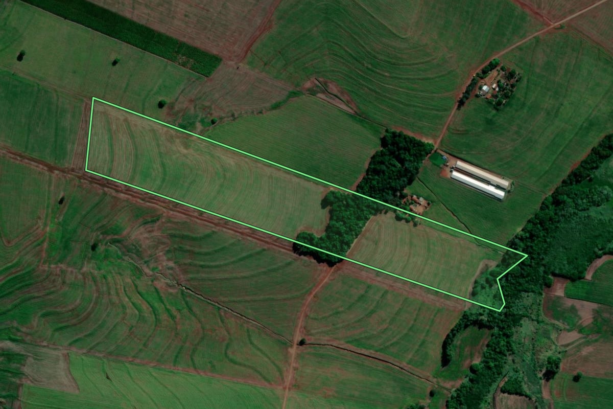 Imagem de satélite do imóvel rural em Primeiro de Maio (PR), com o contorno declarado no CAR desenhado por cima.