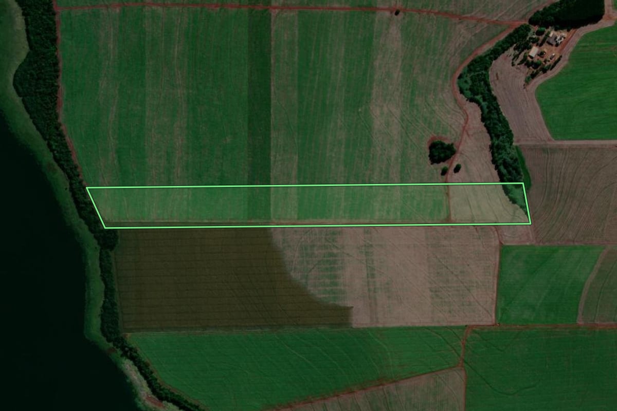 Imagem de satélite do imóvel rural em Primeiro de Maio (PR), com o contorno declarado no CAR desenhado por cima.