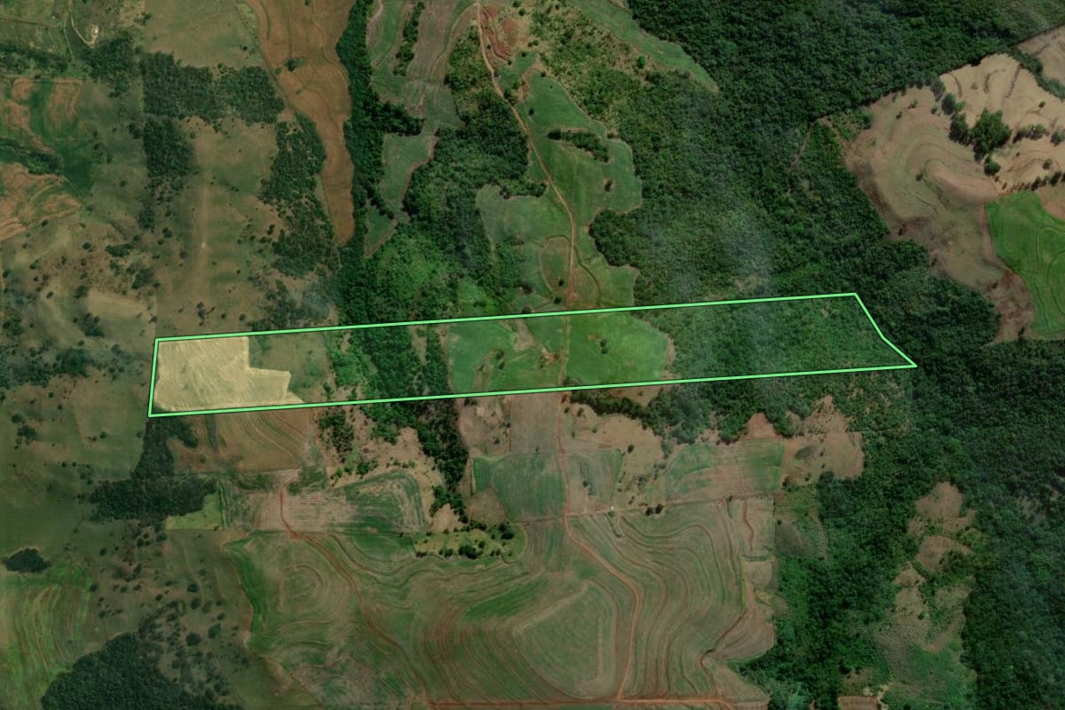 Imagem de satélite do imóvel rural em Primeiro de Maio (PR), com o contorno declarado no CAR desenhado por cima.