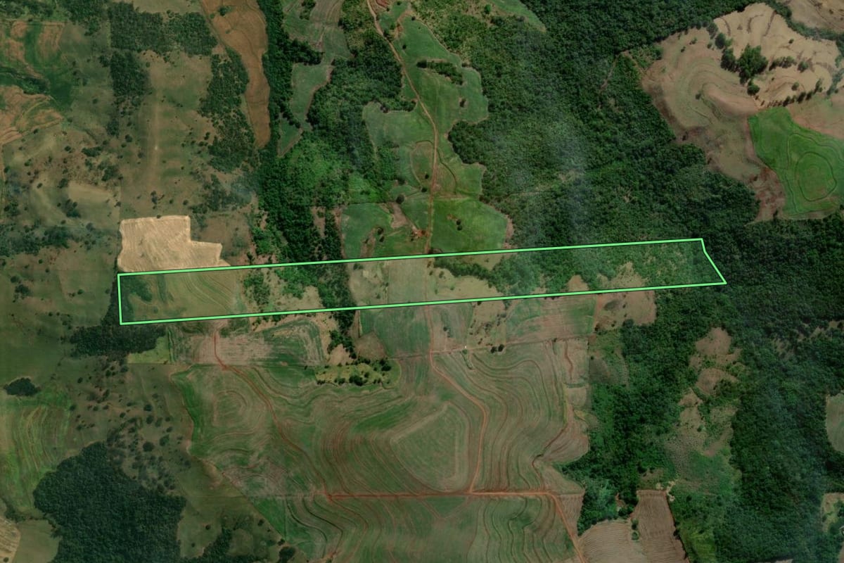 Imagem de satélite do imóvel rural em Primeiro de Maio (PR), com o contorno declarado no CAR desenhado por cima.