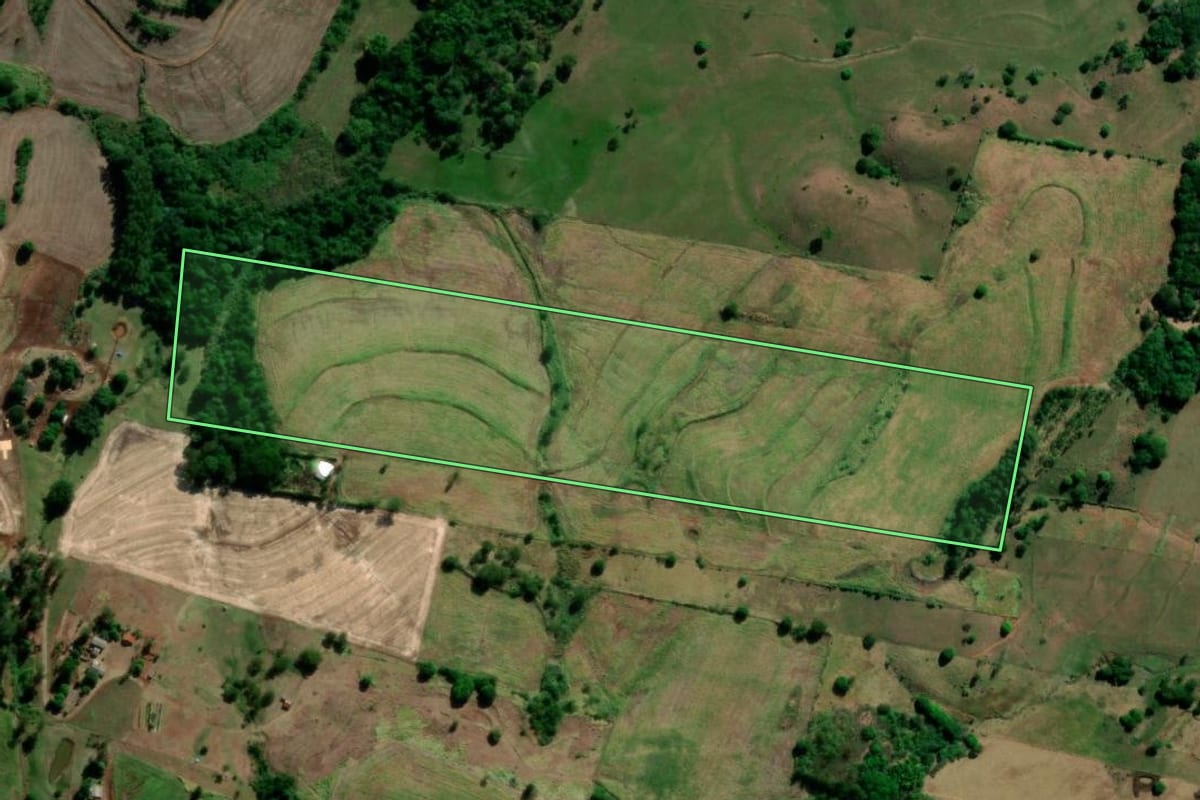 Imagem de satélite do imóvel rural em Primeiro de Maio (PR), com o contorno declarado no CAR desenhado por cima.