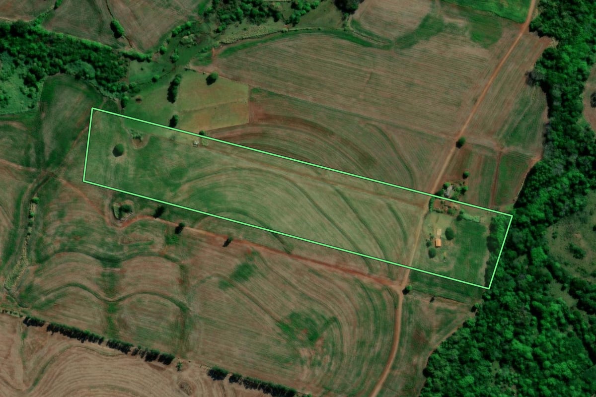 Imagem de satélite do imóvel rural em Primeiro de Maio (PR), com o contorno declarado no CAR desenhado por cima.