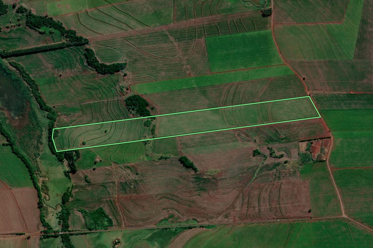 Imagem de satélite do imóvel rural em Primeiro de Maio (PR), com o contorno declarado no CAR desenhado por cima.