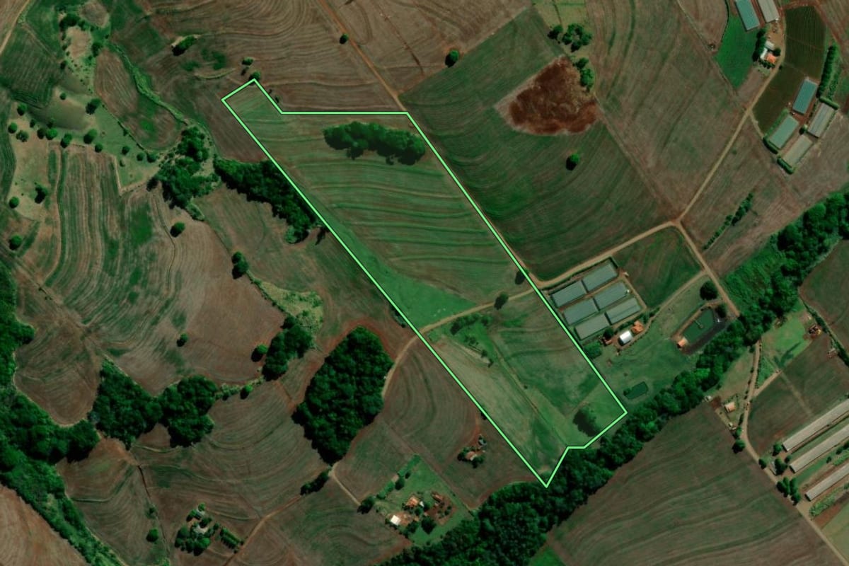 Imagem de satélite do imóvel rural em Primeiro de Maio (PR), com o contorno declarado no CAR desenhado por cima.