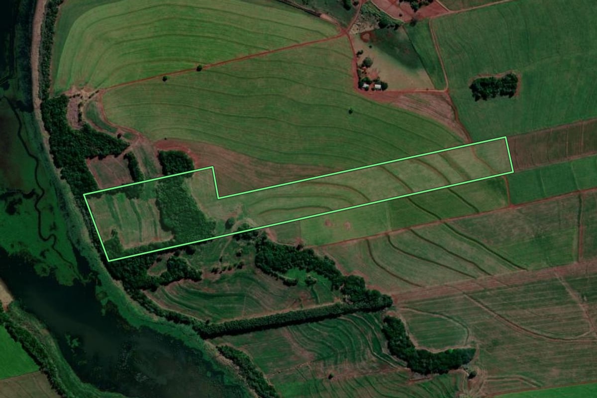 Imagem de satélite do imóvel rural em Primeiro de Maio (PR), com o contorno declarado no CAR desenhado por cima.