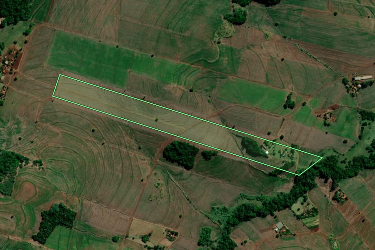 Imagem de satélite do imóvel rural em Primeiro de Maio (PR), com o contorno declarado no CAR desenhado por cima.
