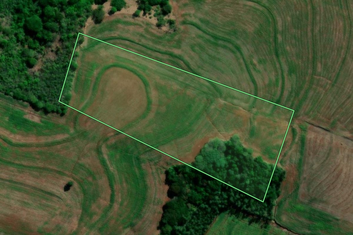 Imagem de satélite do imóvel rural em Primeiro de Maio (PR), com o contorno declarado no CAR desenhado por cima.